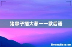 猪鼻子插大葱一一歇后语