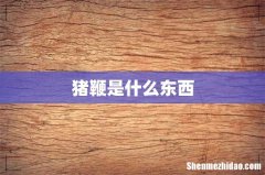 猪鞭是什么东西