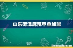 山东菏泽麻辣甲鱼加盟
