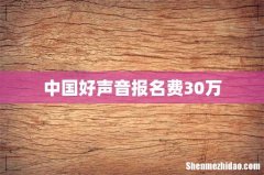 中国好声音报名费30万