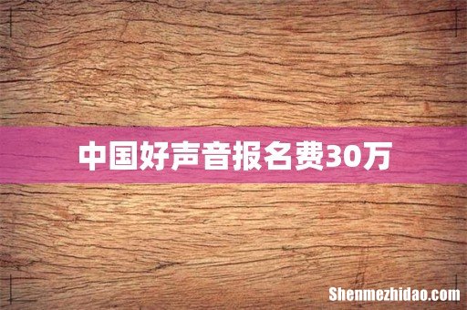 中国好声音报名费30万