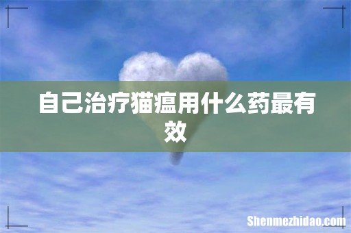 自己治疗猫瘟用什么药最有效