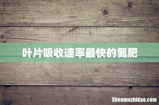 叶片吸收速率最快的氮肥