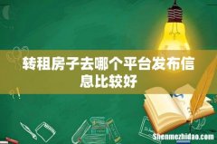 转租房子去哪个平台发布信息比较好