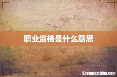 职业资格是什么意思