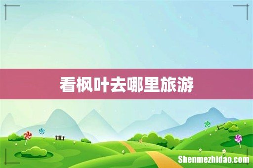 看枫叶去哪里旅游