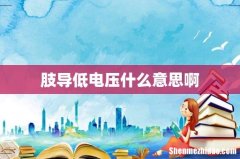 肢导低电压什么意思啊