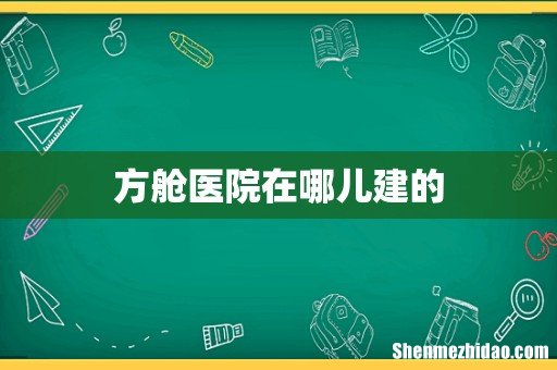 方舱医院在哪儿建的