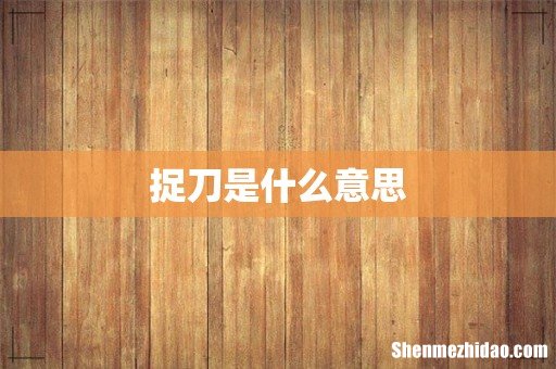 捉刀是什么意思