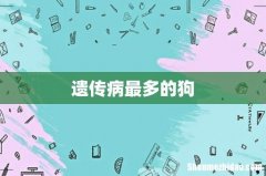 遗传病最多的狗