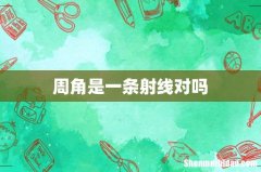 周角是一条射线对吗