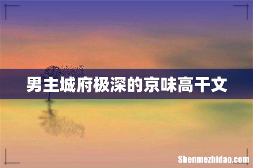 男主城府极深的京味高干文
