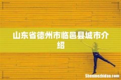 山东省德州市临邑县城市介绍