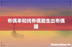 布偶串和纯布偶能生出布偶猫