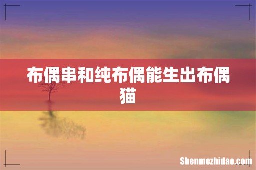 布偶串和纯布偶能生出布偶猫