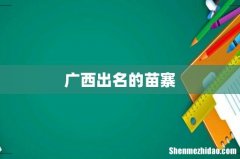 广西出名的苗寨