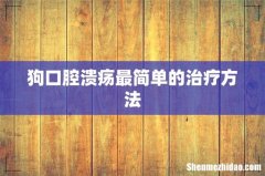 狗口腔溃疡最简单的治疗方法