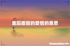 重蹈覆辙的爱情的意思