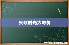 只叹时光太匆匆