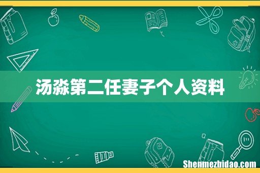 汤淼第二任妻子个人资料