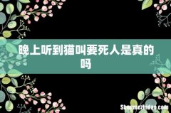 晚上听到猫叫要死人是真的吗
