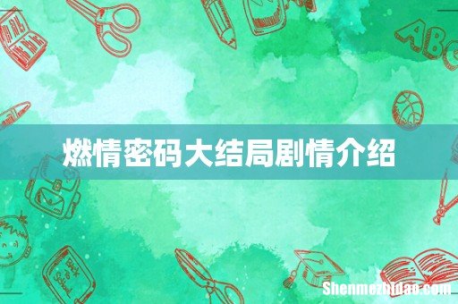 燃情密码大结局剧情介绍
