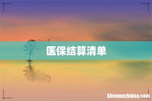 医保结算清单
