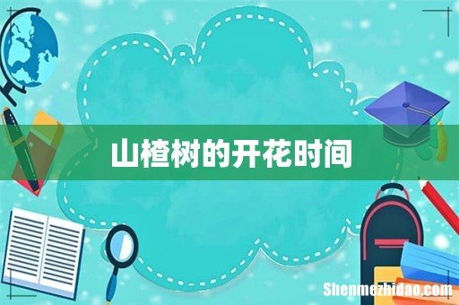 山楂树的开花时间