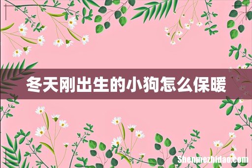 冬天刚出生的小狗怎么保暖