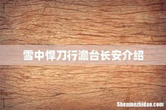 雪中悍刀行澹台长安介绍