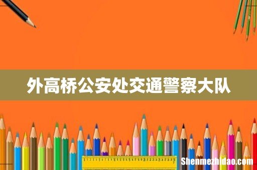 外高桥公安处交通警察大队