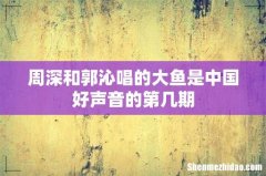 周深和郭沁唱的大鱼是中国好声音的第几期