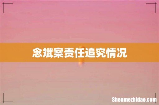念斌案责任追究情况