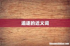 追逐的近义词