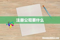 注册公司要什么