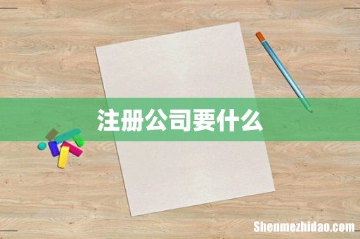 注册公司要什么