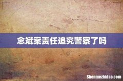 念斌案责任追究警察了吗