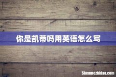 你是凯蒂吗用英语怎么写