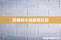 好看的小说离婚以后