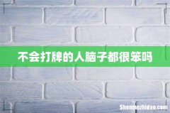 不会打牌的人脑子都很笨吗