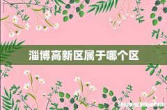 淄博高新区属于哪个区