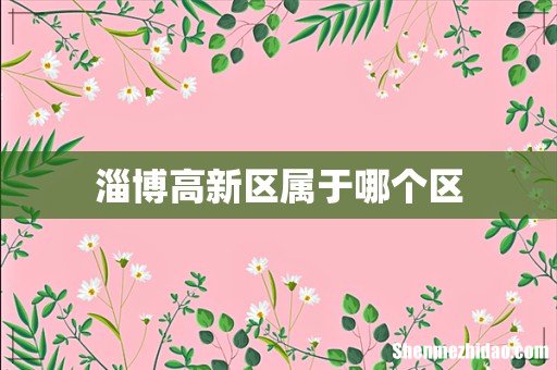 淄博高新区属于哪个区