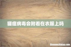 猫瘟病毒会附着在衣服上吗