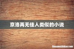 京洛再无佳人类似的小说