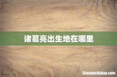 诸葛亮出生地在哪里