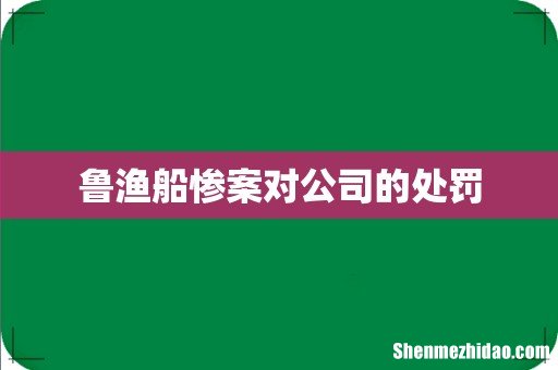 鲁渔船惨案对公司的处罚