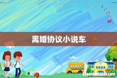离婚协议小说车
