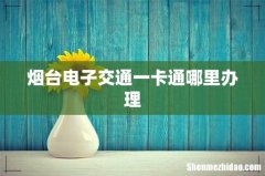 烟台电子交通一卡通哪里办理