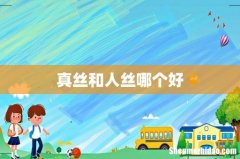 真丝和人丝哪个好