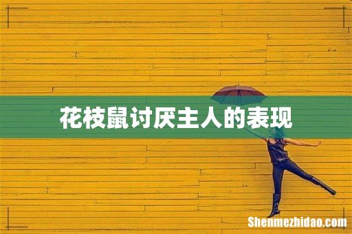 花枝鼠讨厌主人的表现